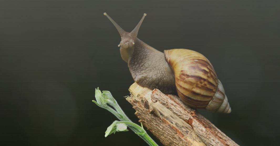 How to Fix Slow WiFi: 10 Easy Steps to Speed Up Your Internet