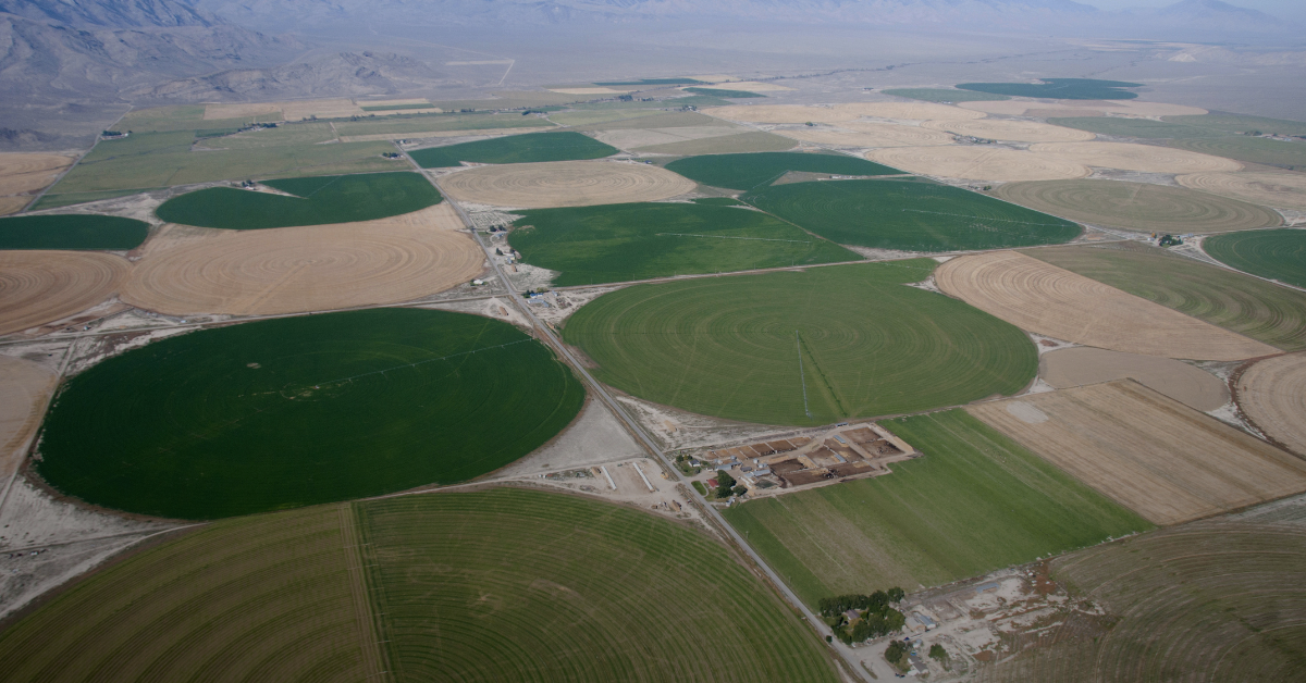 AI Data Centers: The Local Costs No One Warns You About
