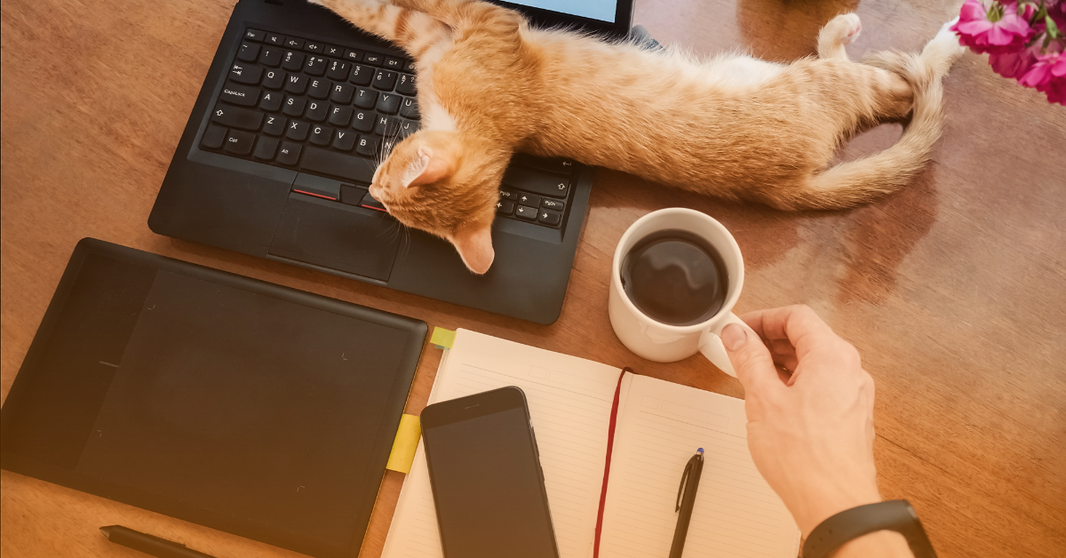 Internet Outages Are Up: How to Build a Resilient Home Network in 2025